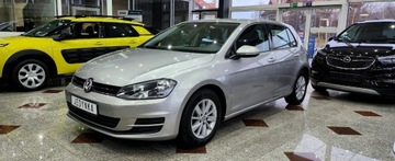 Volkswagen Golf VII Hatchback 3d 1.6 TDI-CR DPF 105KM 2013 Volkswagen Golf Golf 7 4x4 tylko 176 tys.przebiegu 1.6 Diesel 105KM, zdjęcie 10