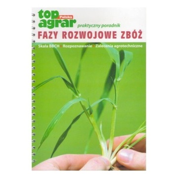 FAZY ROZWOJOWE ZBÓŻ