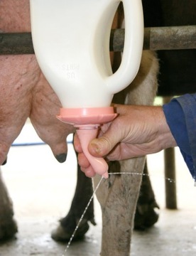 FC6 ВОДА С 6 СОСАМИ