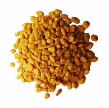 Kozieradka pospolita lekarska nasiona - 500g 0.5kg