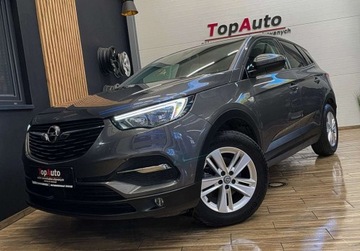 Opel 2019 Opel Grandland X 130 KM manual BEZWYPADKOWY gwarancja ZAREJESTROWANY, zdjęcie 13