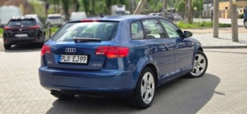 Audi A3 8P Hatchback 3d 1.9 TDI 105KM 2004 Audi A3 Sportback 1,9TDI 105 KM Alu Klima Import Raty Oplaty ASO 1.9, zdjęcie 12
