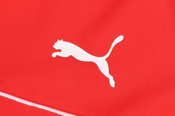 Всепогодная куртка Puma teamRISE красная