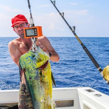 КРАНОВЫЙ КРЮК ВЕСЫ 1000 КГ LCD