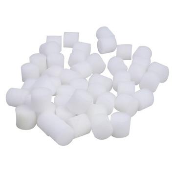 Vegetables Sponge White 100 PCS