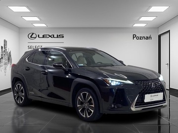 Lexus UX Crossover 250h 184KM 2019 Lexus UX 250h Prestige AWD Lexus UX 2.0 Prestige+P, zdjęcie 7