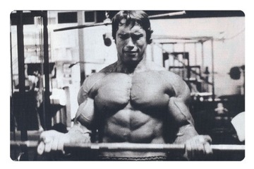 Magnes Arnold Schwarzenegger siłownia sport