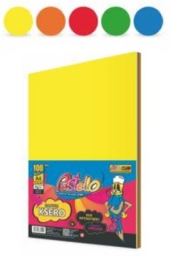 PAPIER DO DRUKARKI A4 KOLOROWY MIX 100 KARTEK