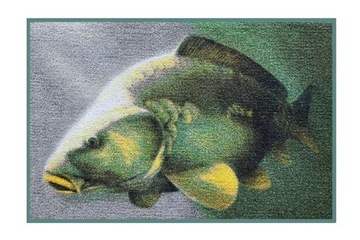 Delphin Wycieraczka 3D karp - 60x40cm