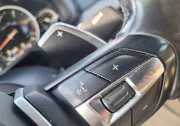 BMW X6 F16 Crossover xDrive 40d 313KM 2016 BMW X6 Bmw X6 Xdrive40D 3.0 Diesel 313KM, zdjęcie 32