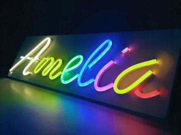 NEWRKACZUSZKA_L неон светодиодный + контроллер Утка 19х19см *Польский продукт*.