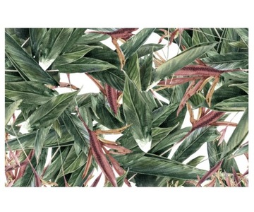 Fototapeta 460x300cm Kwiaty z liśćmi malowane a