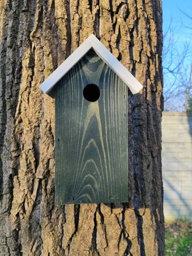 СКВОРОТКА - ЦВЕТНАЯ КРЫША, высота 30 см