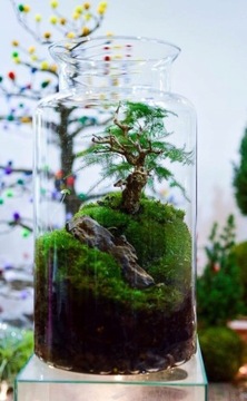 Мини лесная ваза в банке садовая большая банка H35