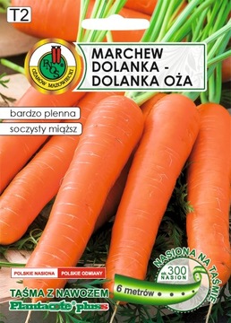 NASIONA NA TAŚMIE 6m MARCHEW DOLANKA OŻA