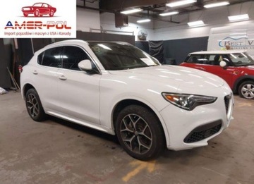 Alfa Romeo Stelvio SUV Facelifting 2.0 Turbo 280KM 2021 Alfa Romeo Stelvio TI 2021 2.0l 2.0 Benzyna 280KM