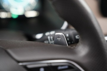 Hyundai Santa Fe IV SUV HEV 1.6 T-GDI HEV 230KM 2022 Hyundai Santa Fe FUL LED 7-osob panorama skóra, zdjęcie 29