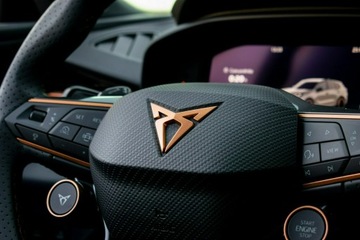 Cupra Terramar SUV 2.0 TSI 265KM 2024 Cupra Terramar VZ 2.0 TSI 265 KM DSG 4Drive DEMO, zdjęcie 24