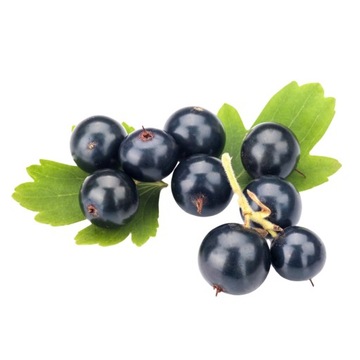 Ароматное масло для мыла Fragrance Aroma Soap 10мл ЧЕРНАЯ СТОЯ