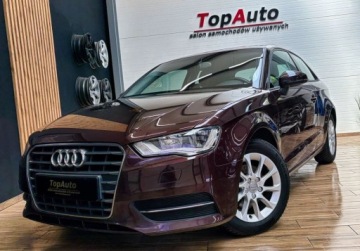Audi A3 8V Hatchback 3d 1.4 TFSI 122KM 2013 Audi A3 3-drzwiowe 1.4TFSI 122KM manual BEZWYPADKOWA zarejetrowana gwar