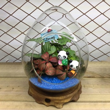 Стеклянная ваза для цветов в форме гусиного яйца Стеклянная ваза для цветов для украшения стола и спальни