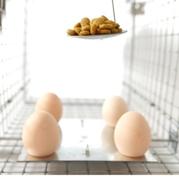 ЖИВОЛОВКА МУЖЧИНЫ ЛОВУШКА КРЫСЫ ЛОСКИ НОРКИ ТРУСЫ ЛОВУШКИ VIANO P2