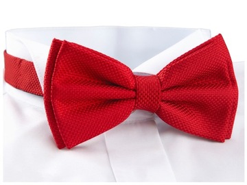 Мужской галстук-бабочка GREG для рубашки MIKROFIBRA mz04