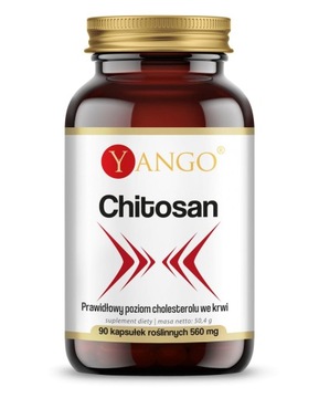 CHITOSAN ODCHUDZANIE SPALANIE TŁUSZCZU 90 KAPS