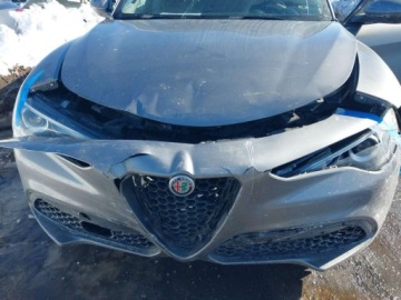 Alfa Romeo Stelvio SUV 2.0 Turbo 280KM 2019 Alfa Romeo Stelvio 2019 ALFA ROMEO STELVIO SPORT AWD 2.0 Benzyna 280KM, zdjęcie 7