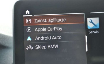 BMW X4 G02 SUV 20d 190KM 2021 BMW X4 Dealer BMW Bonkowscy Gorzow Wlkp. 2.0 Diesel 190KM, zdjęcie 20