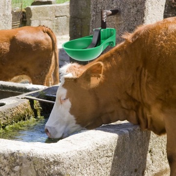 Автоматическая чаша для коровы. Бутылка для воды для коров.