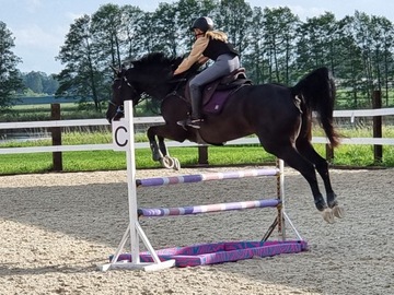 Лошадь с препятствиями HorseMania + 3 шеста, выдвижная 2 в 1 ПЕРСОНАЛИЗАЦИЯ