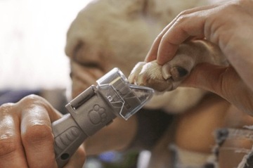 DREMEL Przystawka do obcinania pazurów zwierząt