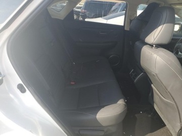 Lexus NX I 2019 Lexus NX 2019 LEXUS NX 300 BASE 2.0 Benzyna 235KM, zdjęcie 11