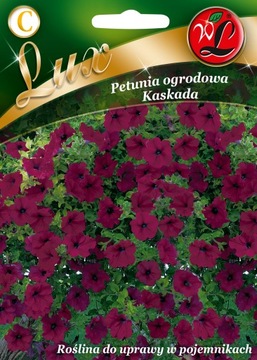 LUX PETUNIA OGRODOWA ZWISAJĄCA WIŚNIOWA 0,02G KASKADA