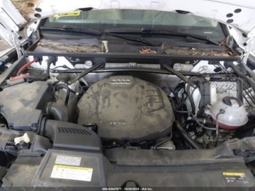 Audi Q5 II 2019 Audi Q5 2019 AUDI Q5 45 PREMIUM 2.0 Benzyna 248KM, zdjęcie 13