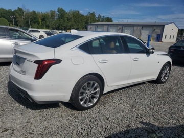 Cadillac 2023 Cadillac CT5 Luxury 2023 2.0l 2.0 Benzyna 237KM, zdjęcie 3