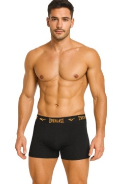 Мужские трусы-боксеры Everlast, 4 шт., хлопковые трусы черного цвета с логотипом, XL