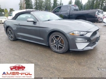 Ford Mustang VI 2019 Ford Mustang FORD MUSTANG ECOBOOST PREMIUM 2.3 Benzyna 310KM