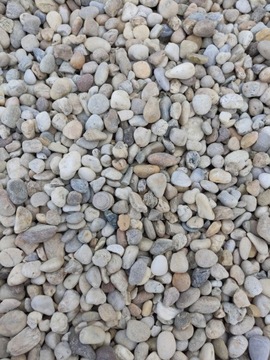 LAS W SŁOIKU OTOCZAK MIX MIODOWY RZECZNY 0,5 KG