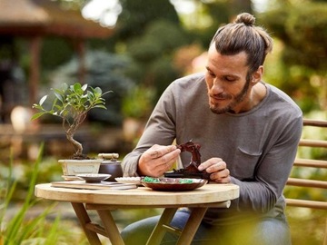 10281 - LEGO Creator - Дерево бонсай