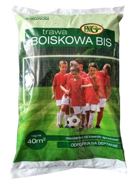 Trawa boiskowa mieszanka Bis 1kg -Granum