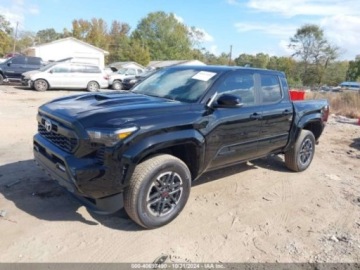 Toyota Tacoma II 2024 Toyota Tacoma TRD Sport, 2024r., 2.4L 2.4 Benzyna 278KM, zdjęcie 1