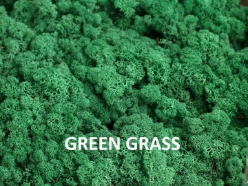 Мох оленьего краба 15 цветов 200г