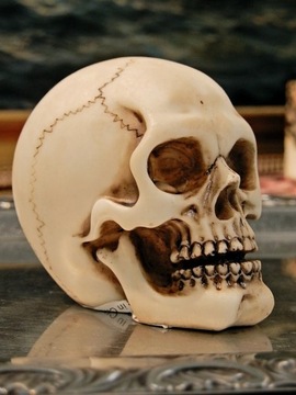 ЧЕРЕП MEMENTO MORI: БЫТЬ ИЛИ НЕ БЫТЬ ПОСВЯЩЕНИЕ