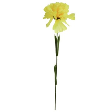Goździk pojedynka żółty 46cm KWIATY Goliat