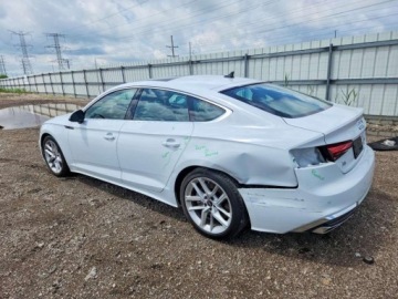 Audi A5 F5 2023 Audi A5 Sportback Premium Plus 45 2023 2.0 Benzyna 261KM, zdjęcie 1