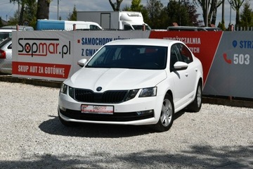 Skoda Octavia III Liftback Facelifting 1.6 TDI 115KM 2019 Škoda Octavia Skoda Octavia 1.6TDi 116KM 2019r., zdjęcie 15