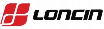 Двигатель внутреннего сгорания для газонокосилки LONCIN с вертикальным приводом, объём 196 см³, вал 22/80
