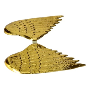 Карнавальный костюм с золотыми крыльями ангела для детей